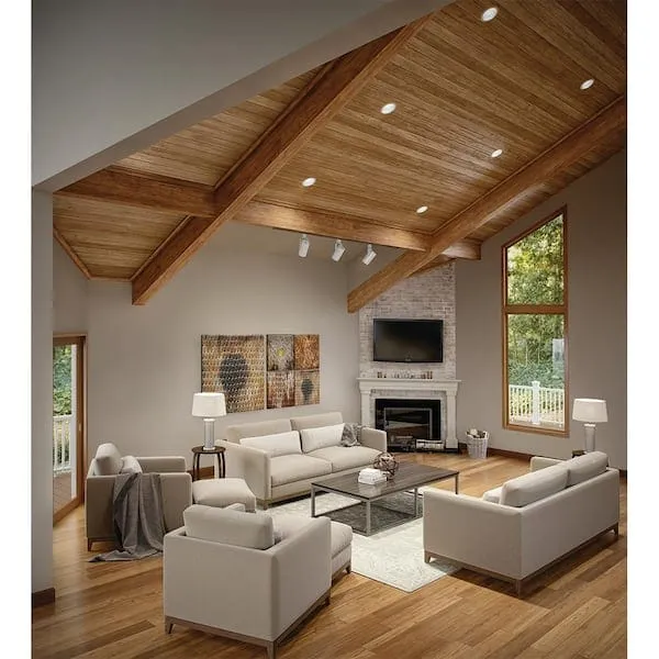 Can Lights For Vaulted Ceiling?