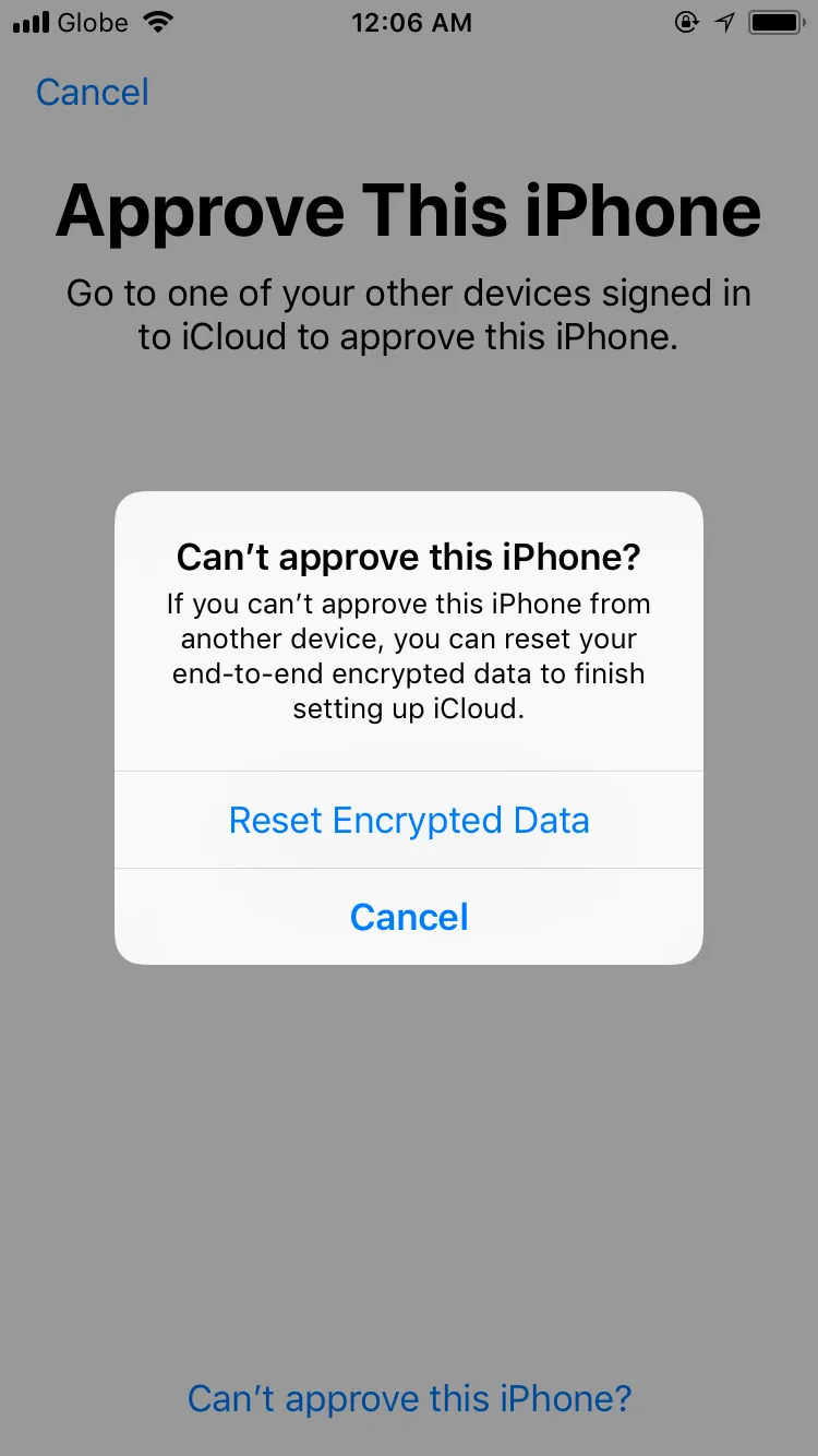 Understanding the Impact of Resetting Encrypted Data