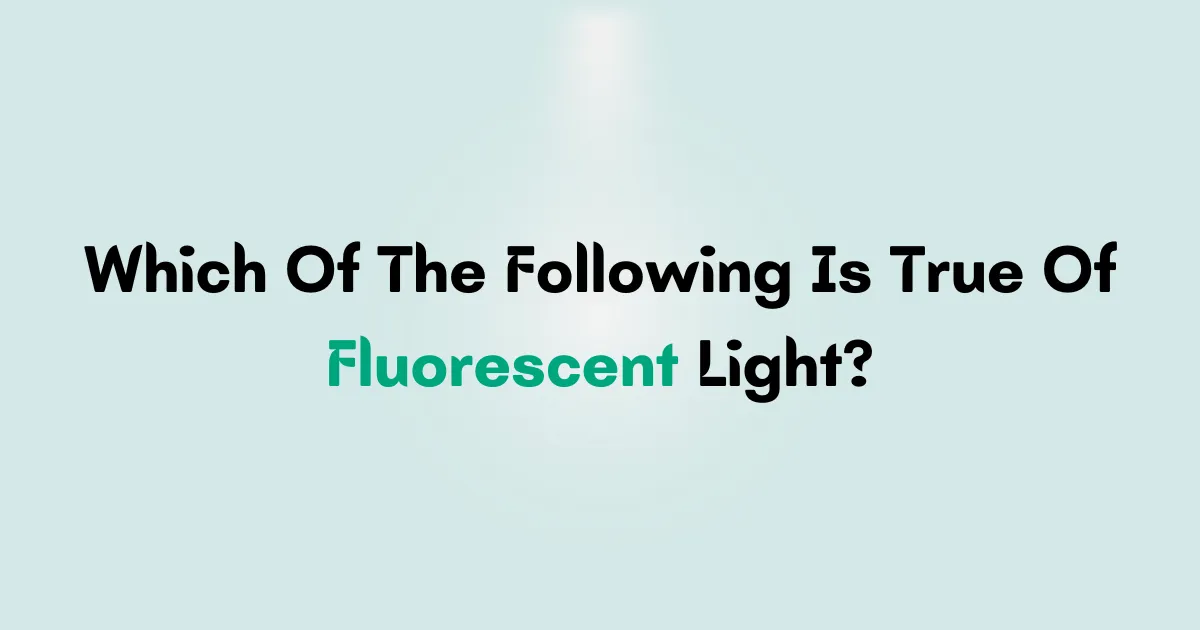 Understanding the Benefits of Fluorescent Light Bulbs