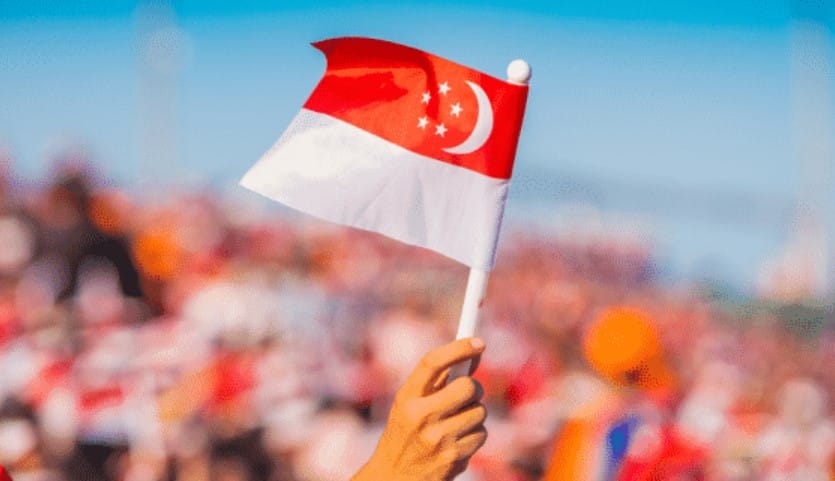 Singapore National Day Picture 2019