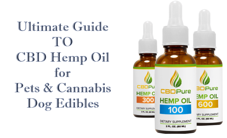 Ultimate Guide to CBD Hemp Oil for Pets & Cannabis Dog Edibles
