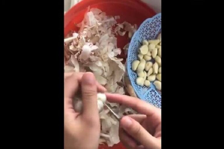 Video of garlic extracted in the net world (Video)