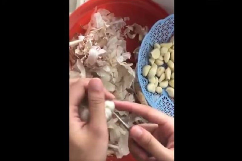 Video of garlic