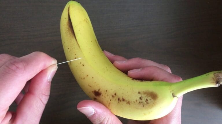 Check Out This Amazing Trick: When He Sticks a needle into a Banana, Something incredible happens! It’s incredibly useful!