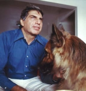 Ratan Tata Pet