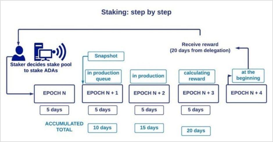 epoch in crypto staking