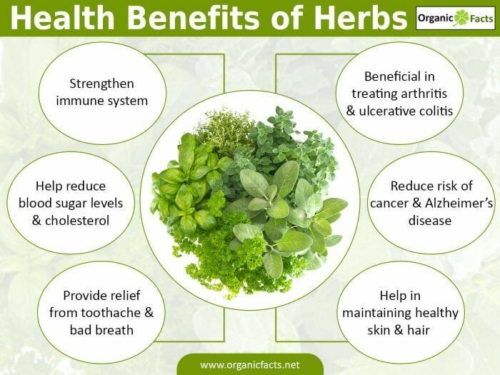 What Are The Benefits Of Herbal Remedies?