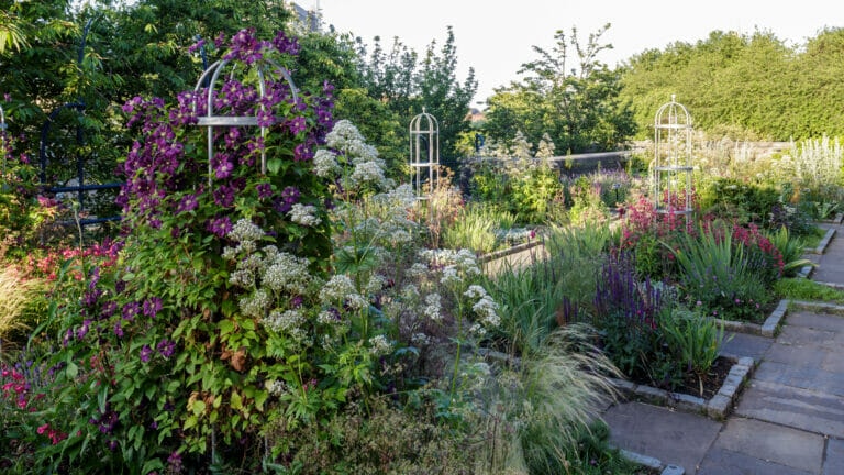 How Do Create A Sensory Garden With Perennials?