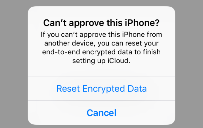 What Is Resetting Encrypted Data? (Explained)